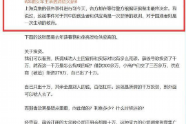 哈尔滨哈尔滨专业催债公司，专业催收